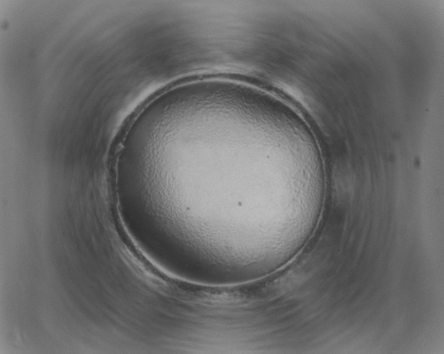 X0000063451460200601201208