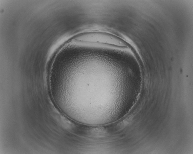X0000063451464200601201208