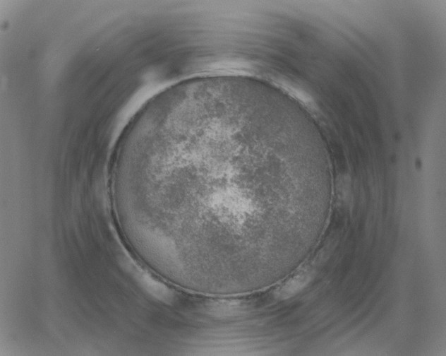 X0000063451470200601201208