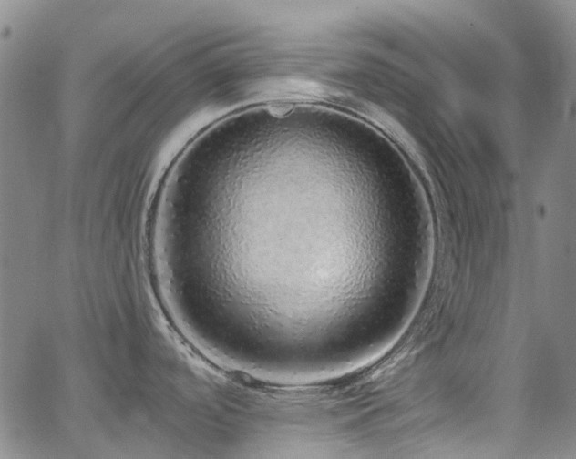 X0000063451488200601201207
