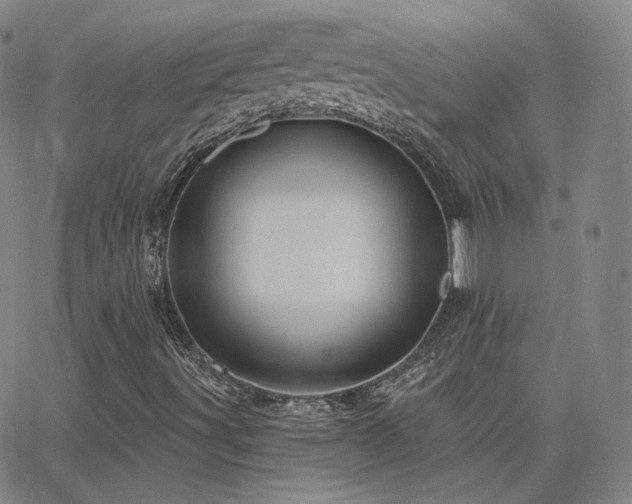 X0000063451491200601201207