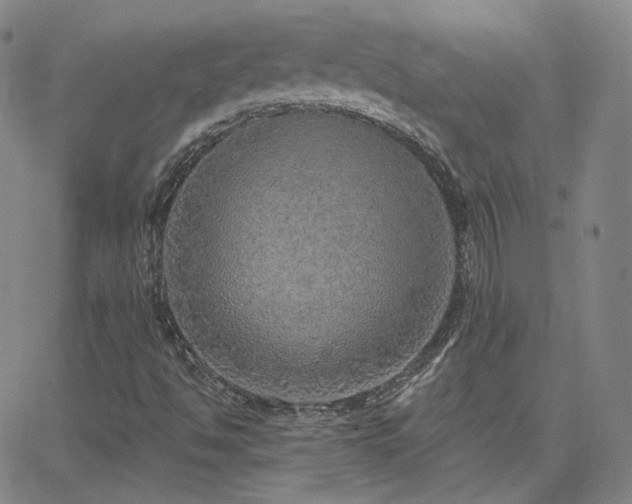 X0000063451494200601201207