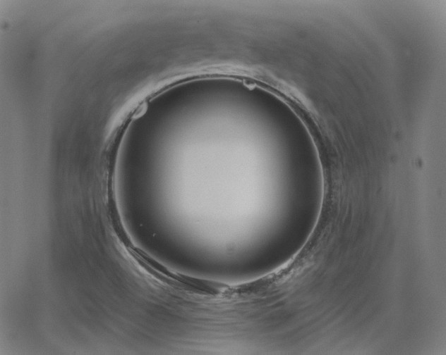 X0000063451504200601201207