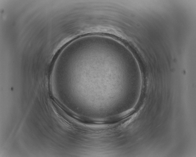 X0000063451505200601201207