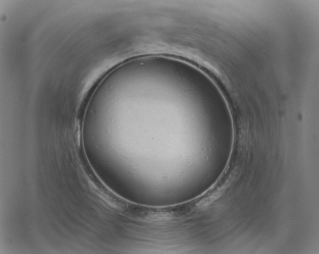 X0000063451509200601201207