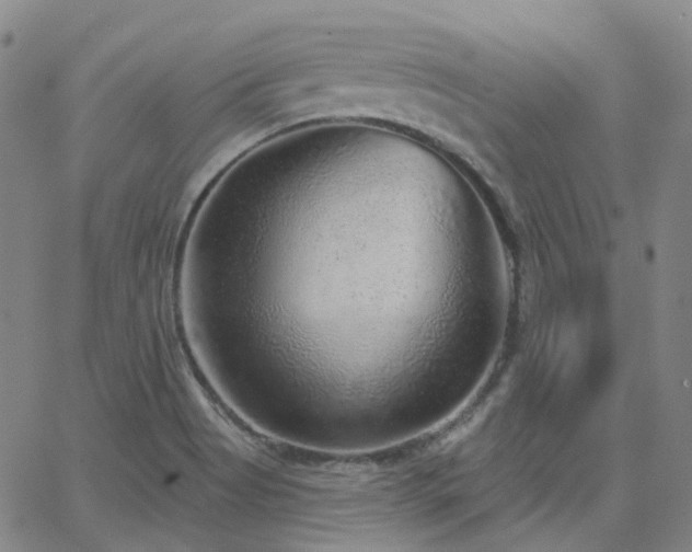 X0000063451513200601201207