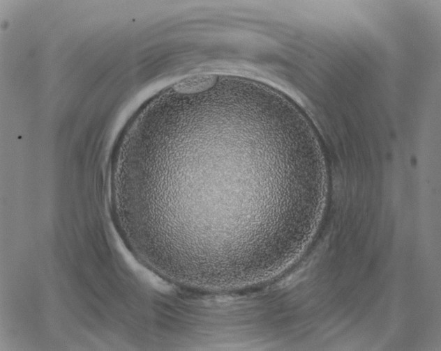 X0000063451515200601201207