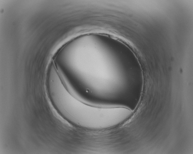 X0000063451518200601201207