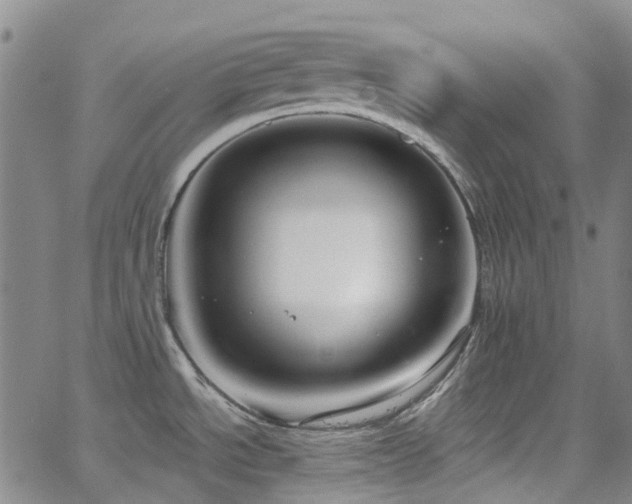 X0000063451534200601201207