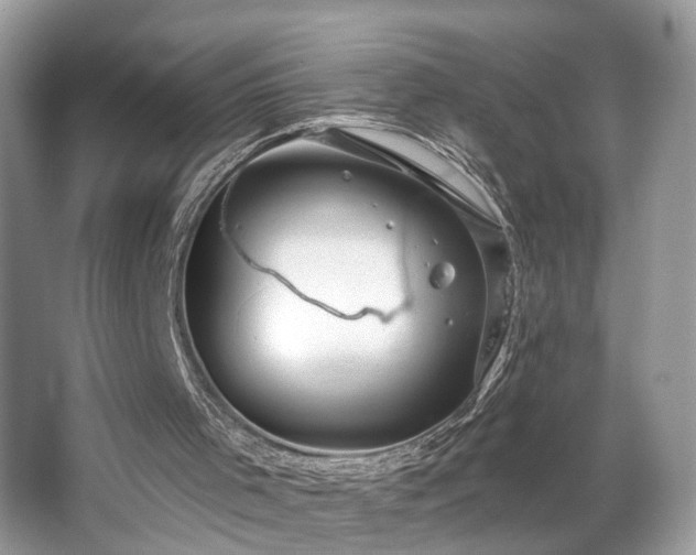 X0000063450001200601231404