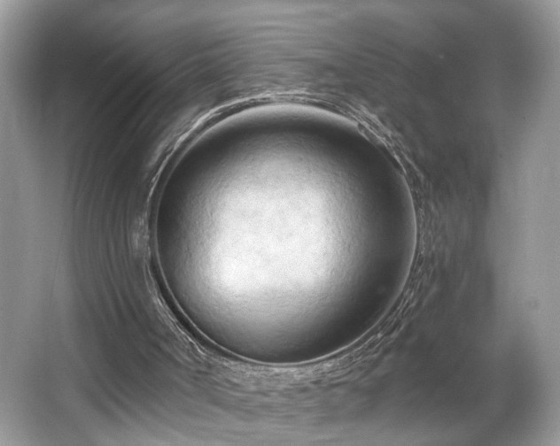 X0000063450002200601231404