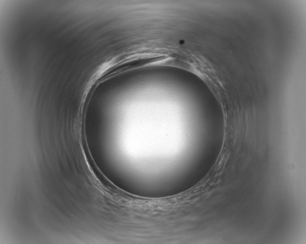 X0000063450003200601231404