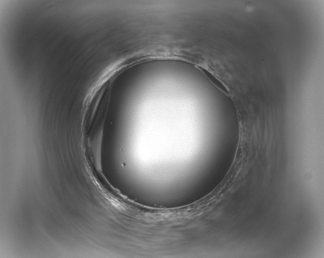 X0000063450005200601231404