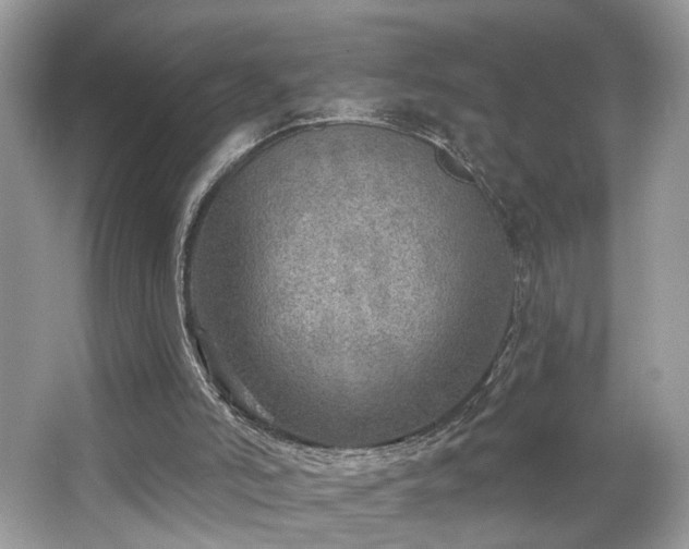 X0000063450006200601231404