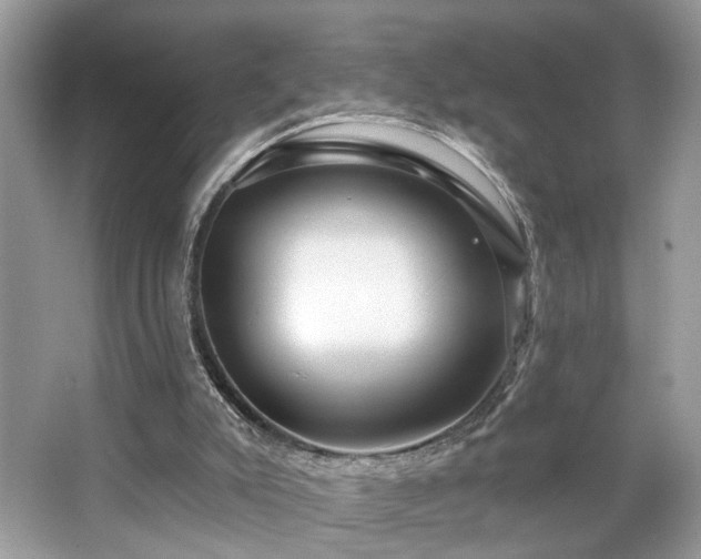 X0000063450007200601231404