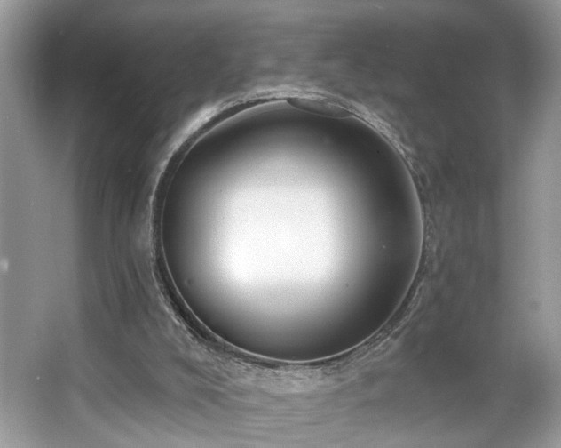 X0000063450008200601231404