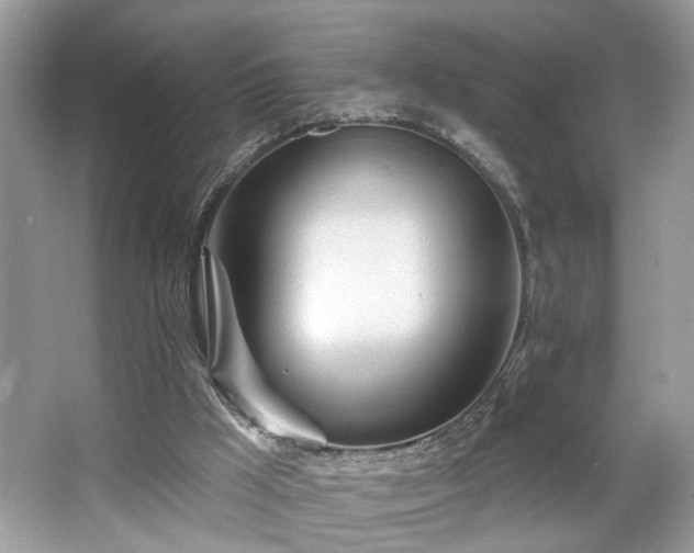 X0000063450009200601231404