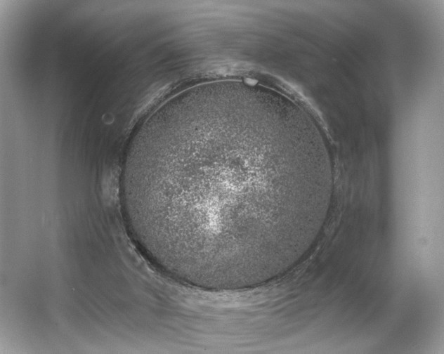 X0000063450010200601231404