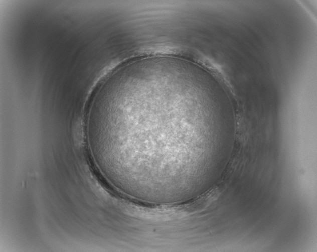 X0000063450012200601231404