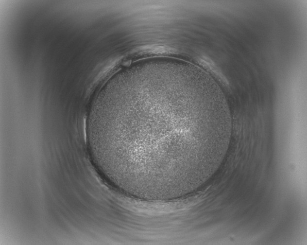 X0000063450014200601231404