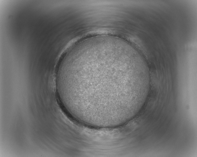 X0000063450016200601231404