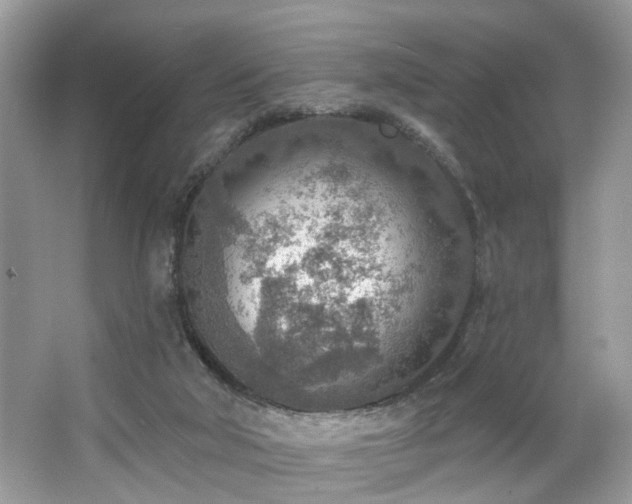 X0000063450018200601231404