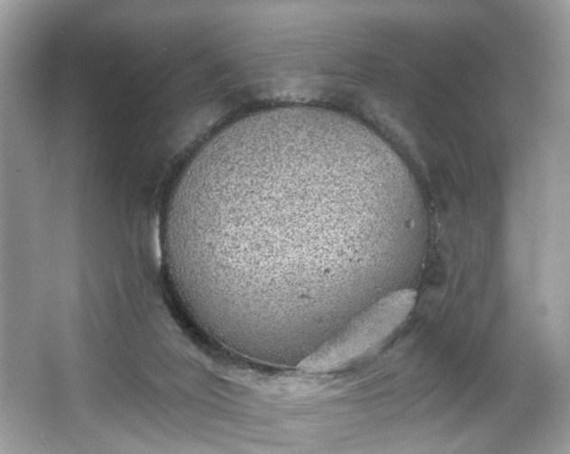 X0000063450020200601231404