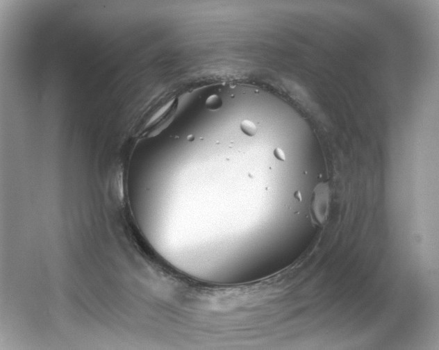 X0000063450021200601231404