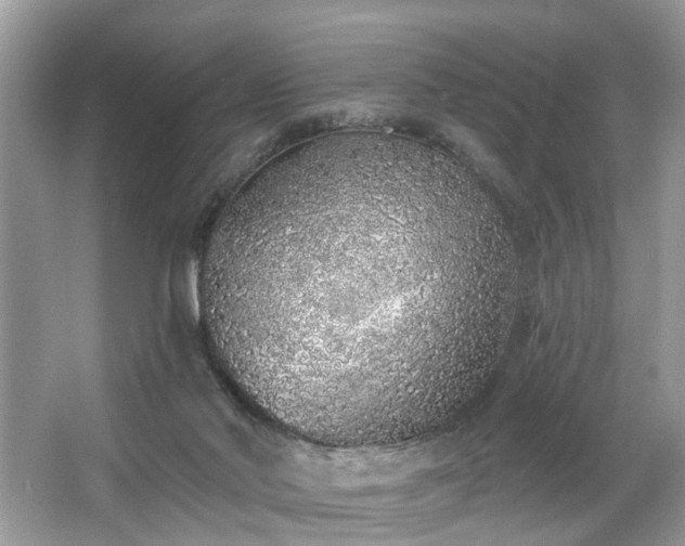 X0000063450022200601231404