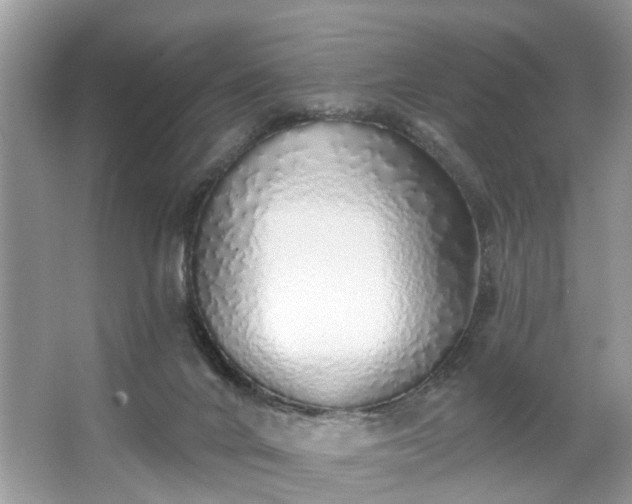 X0000063450024200601231404