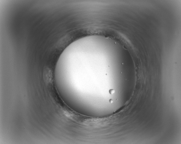 X0000063450025200601231404