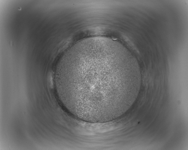 X0000063450026200601231404