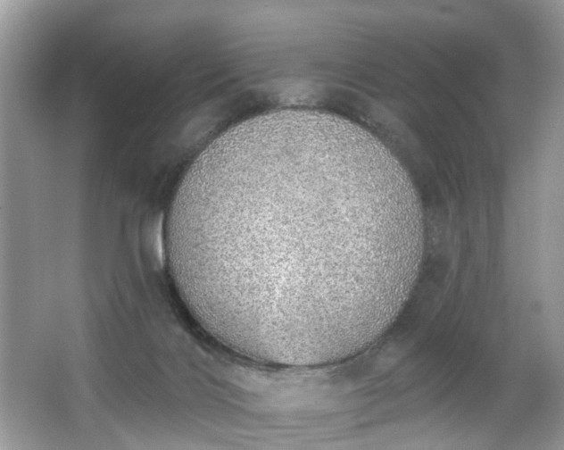 X0000063450028200601231404