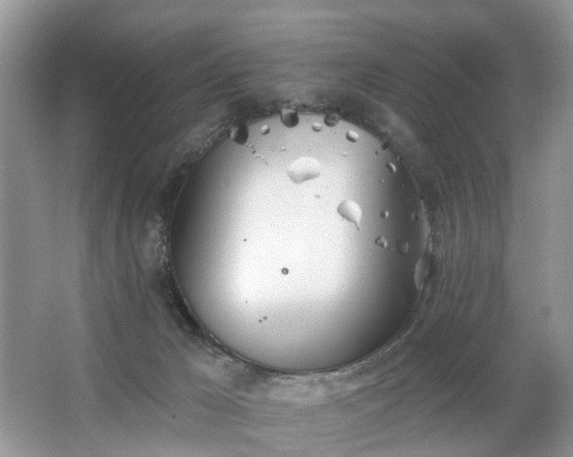 X0000063450029200601231404