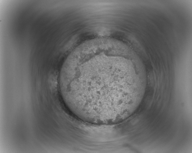 X0000063450032200601231404