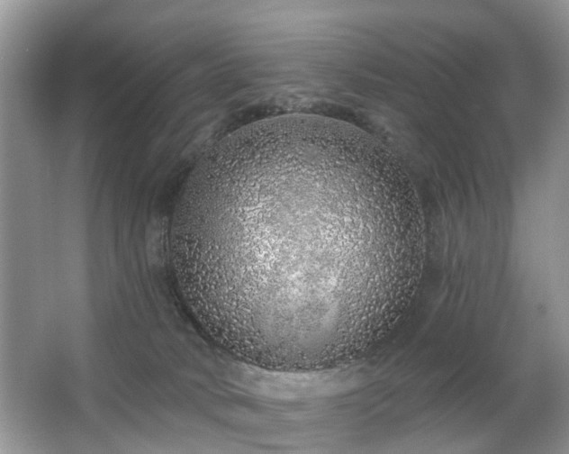 X0000063450034200601231404