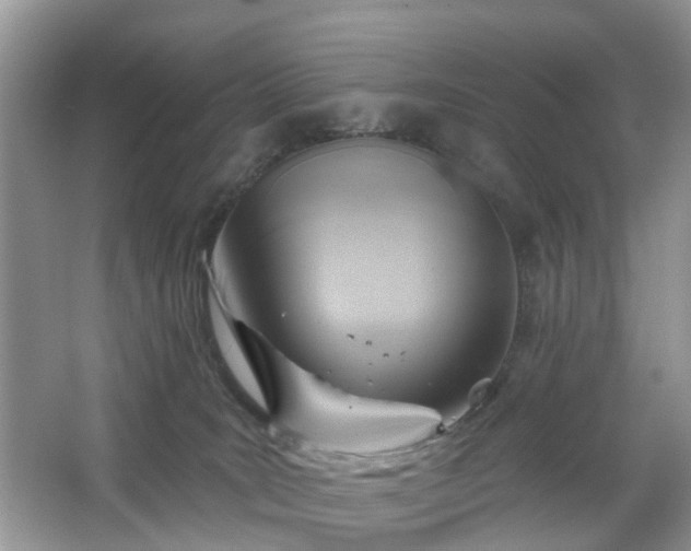 X0000063450035200601231403