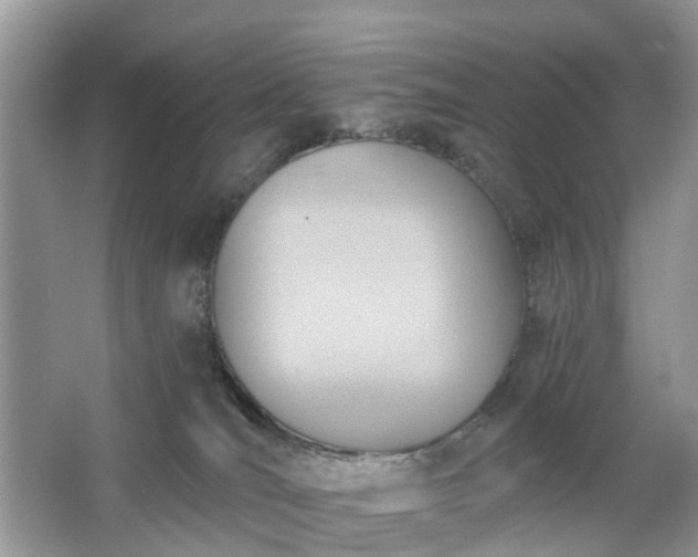 X0000063450036200601231403