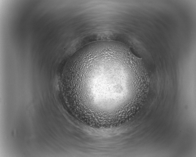 X0000063450038200601231403