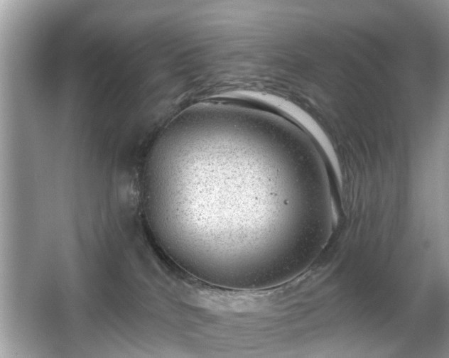 X0000063450040200601231403