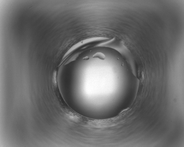 X0000063450041200601231403