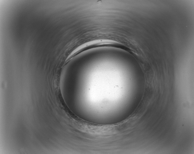 X0000063450044200601231403