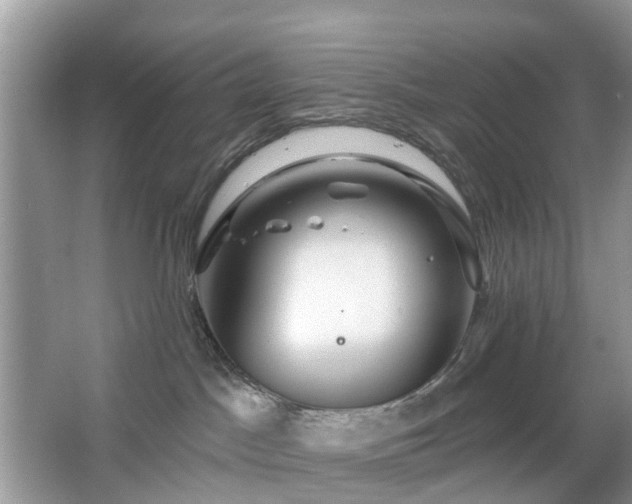 X0000063450045200601231403