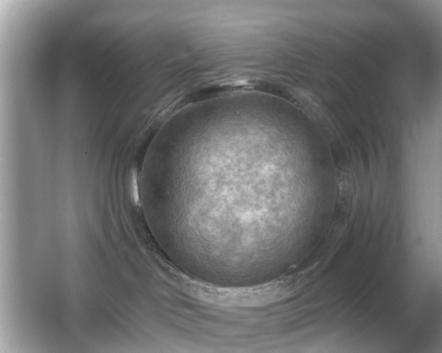 X0000063450046200601231403