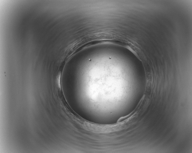 X0000063450047200601231403