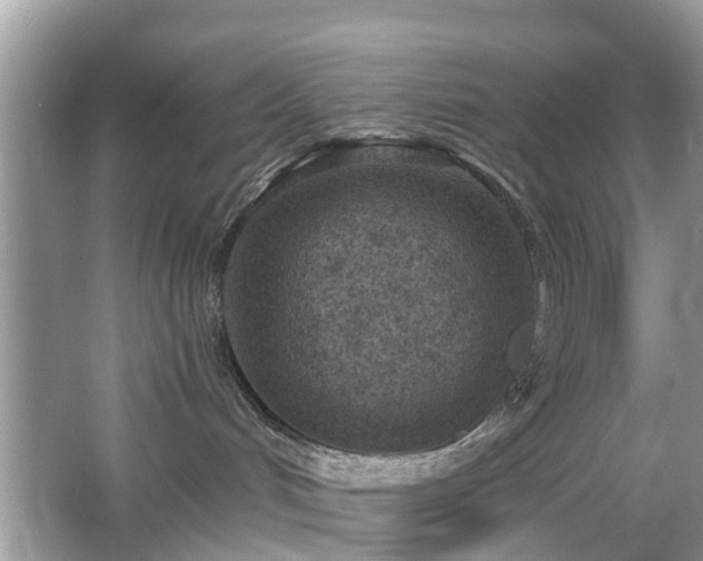 X0000063450048200601231403