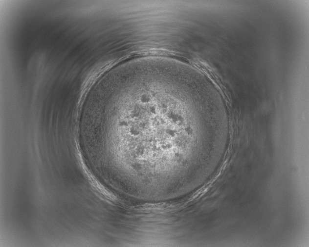 X0000063450049200601231402