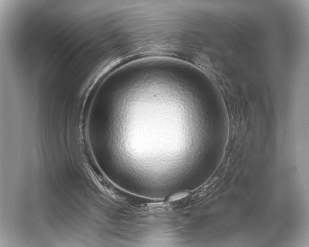 X0000063450050200601231402