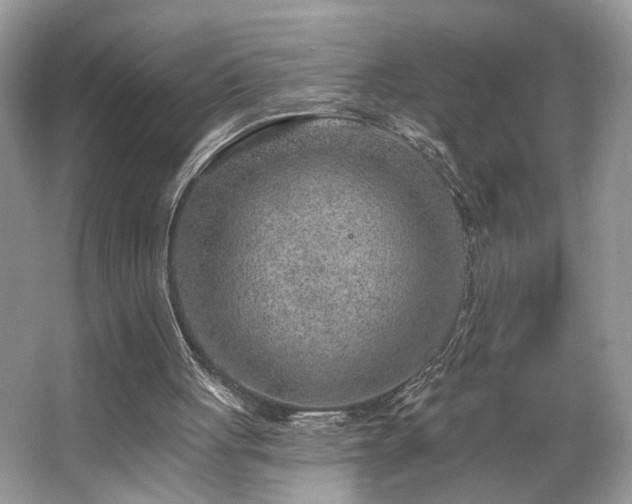 X0000063450051200601231402