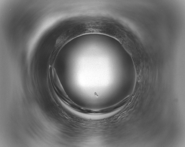 X0000063450052200601231402